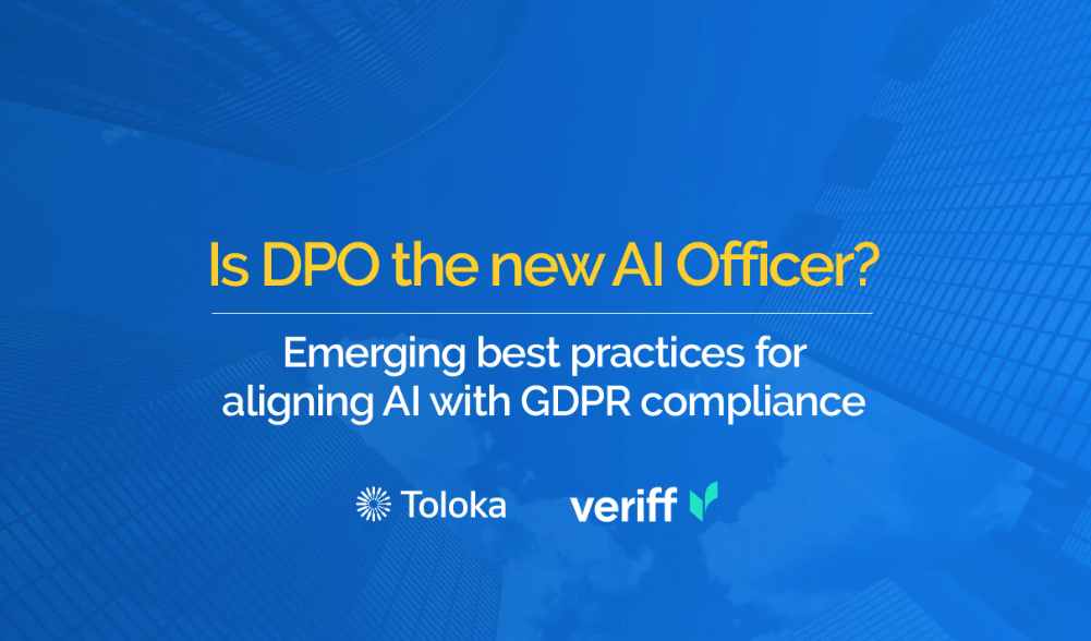 Home 17 Webinar titled 'Is DPO the new AI officer' discussing the evolving role of data protection officers in the age of AI. Featuring speakers from GDPR Register, Veriff, and Toloka